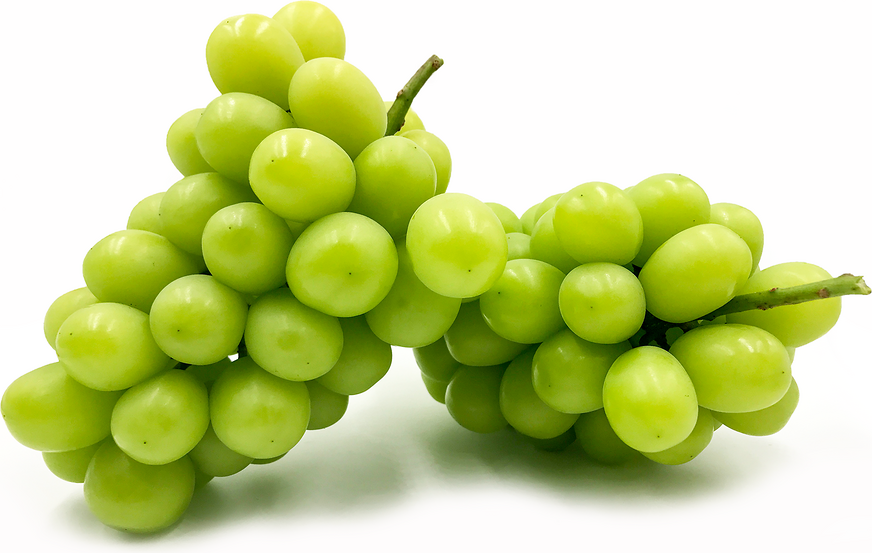 Muscat Grapes: The Oldest Grape Variety Rich in Benefits